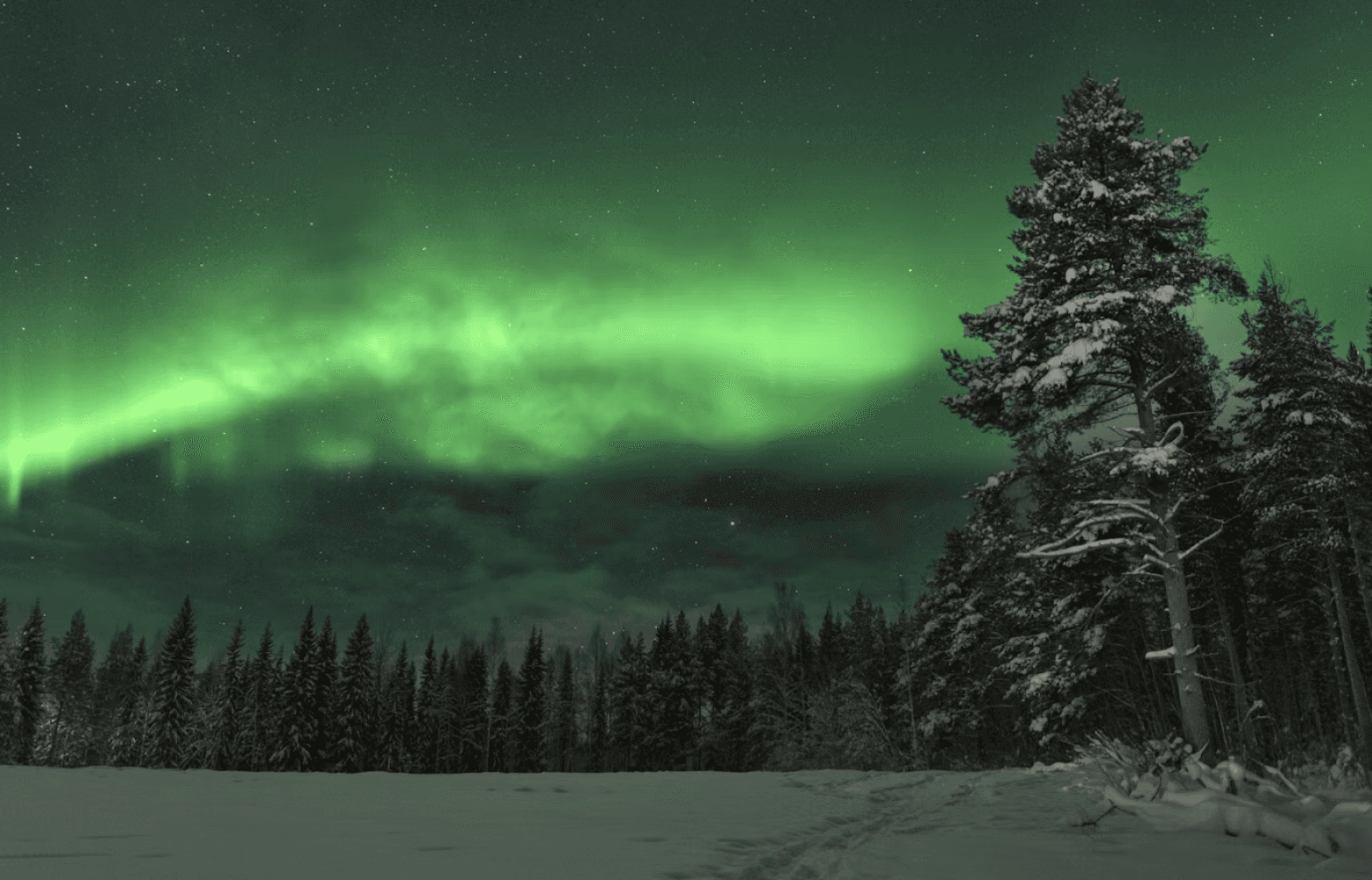 Visual zur Rückverfolgbarkeit