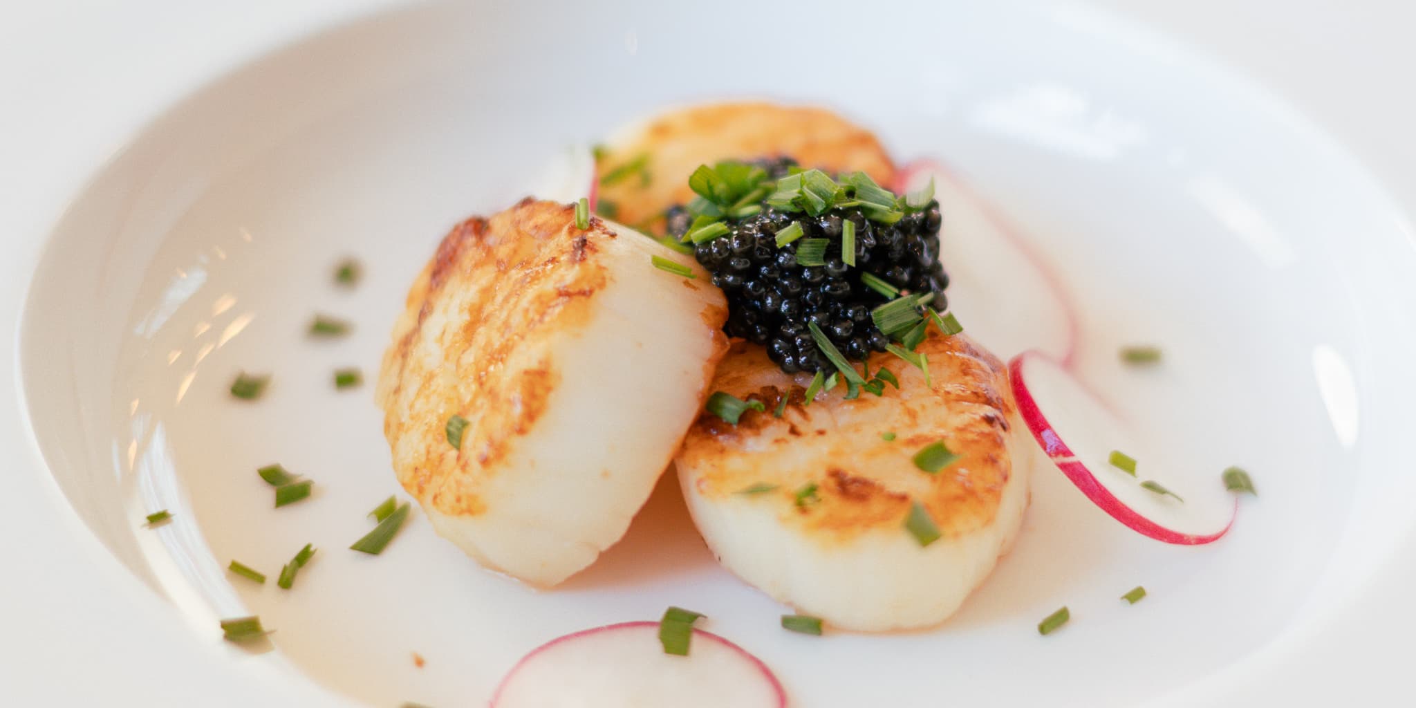 Gebratene Jakobsmuscheln mit Radieschen und Nordic Classic