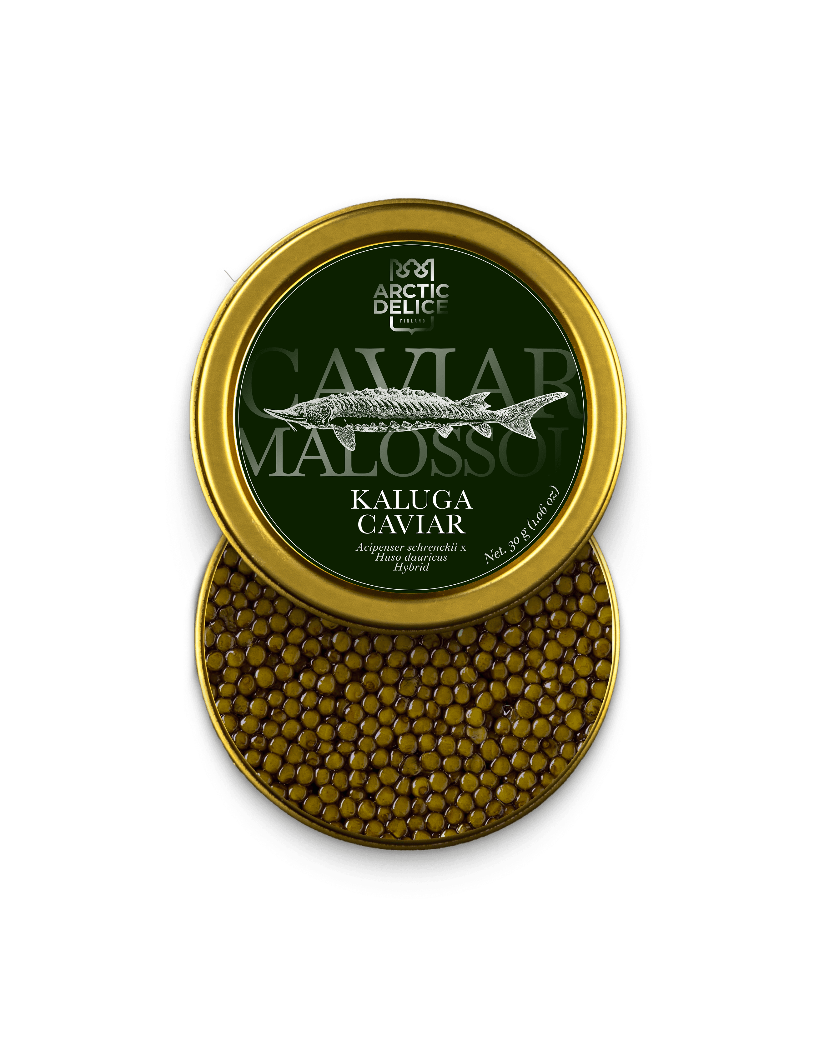 Kaluga Caviar