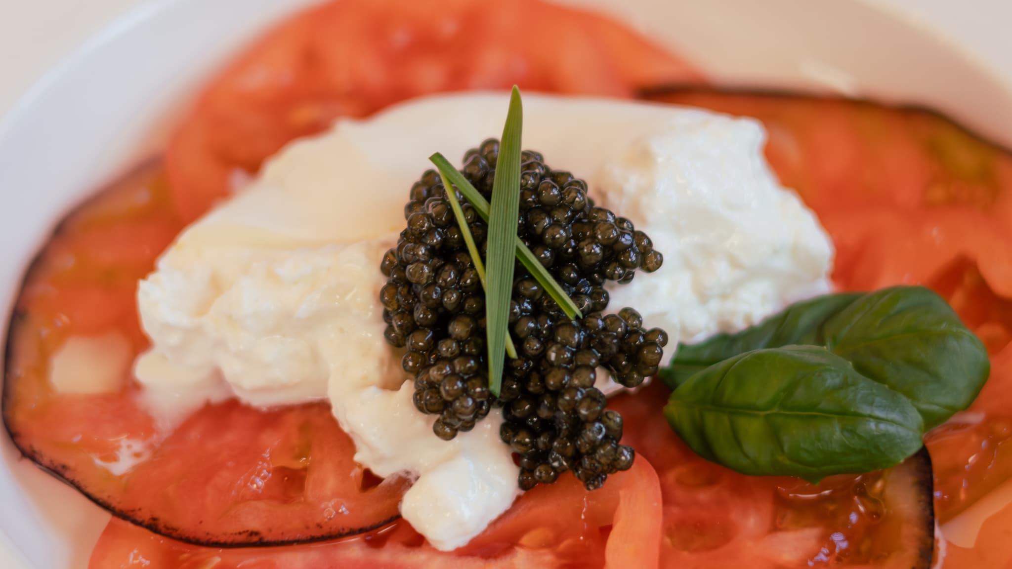 Caviale di Storione Sterlet