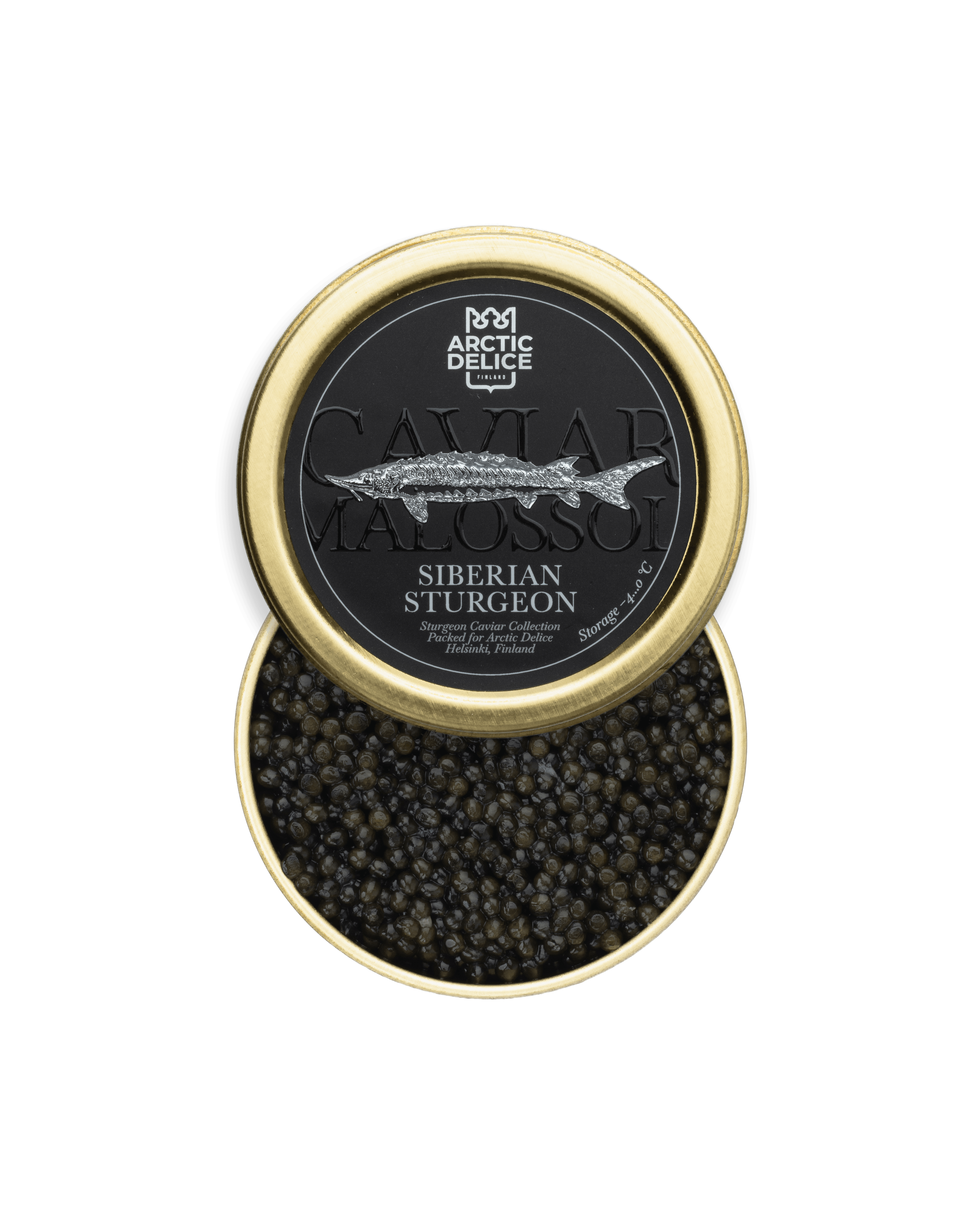 Siberian Sturgeon – 1