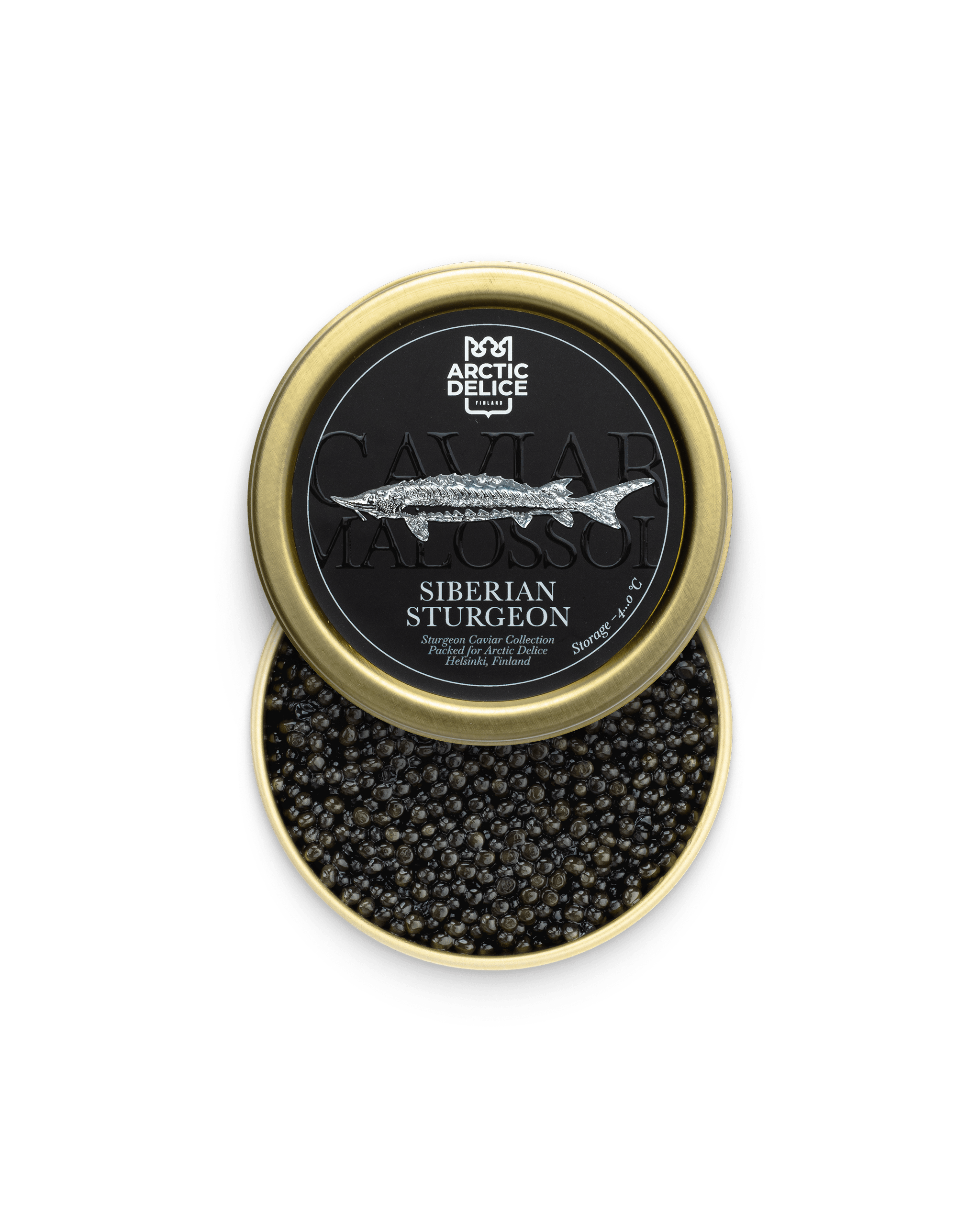 Siberian Sturgeon