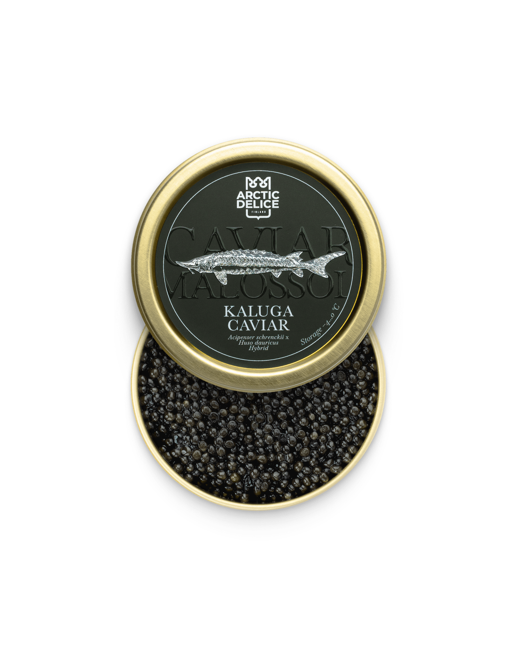 Kaluga Caviar