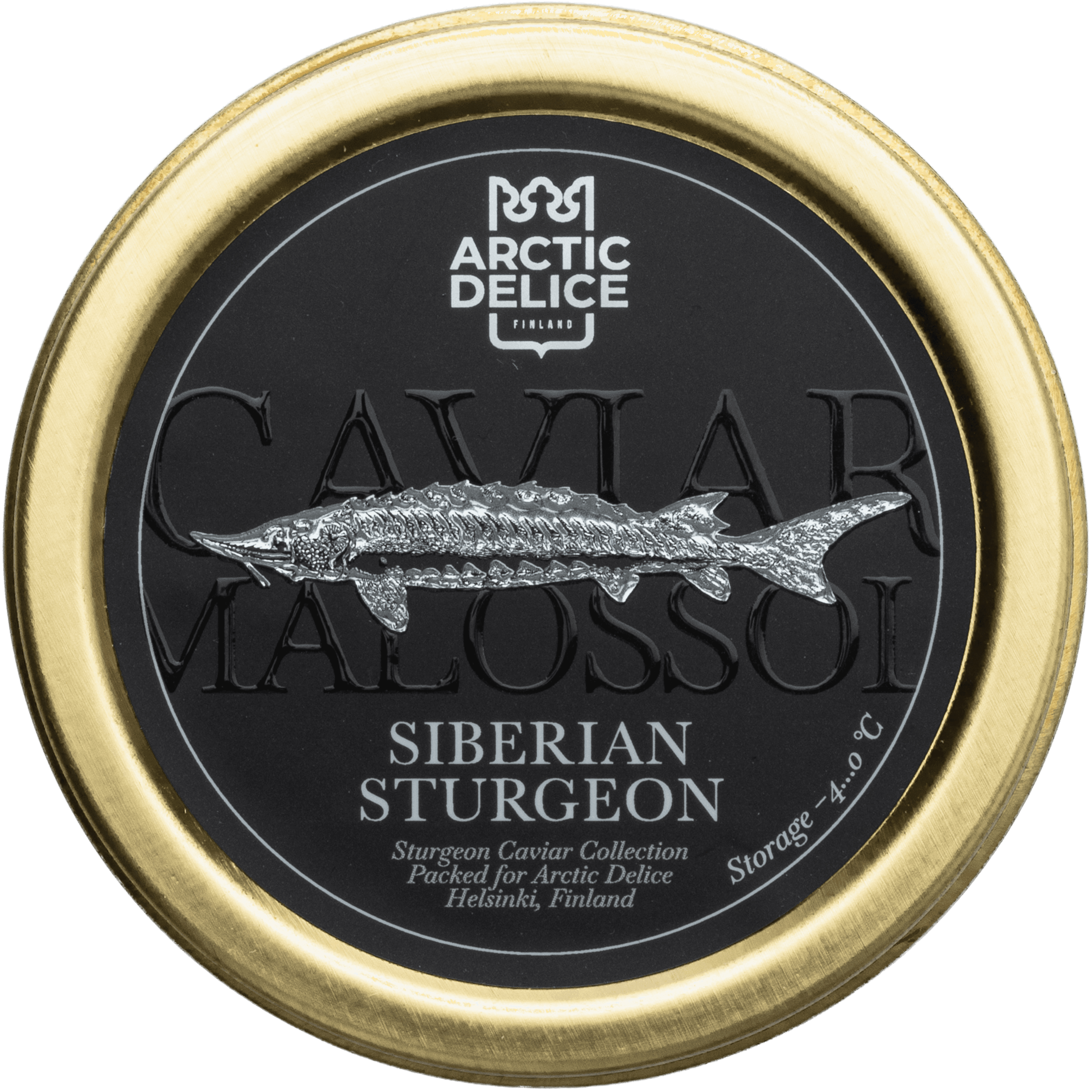 Siberian Sturgeon - main