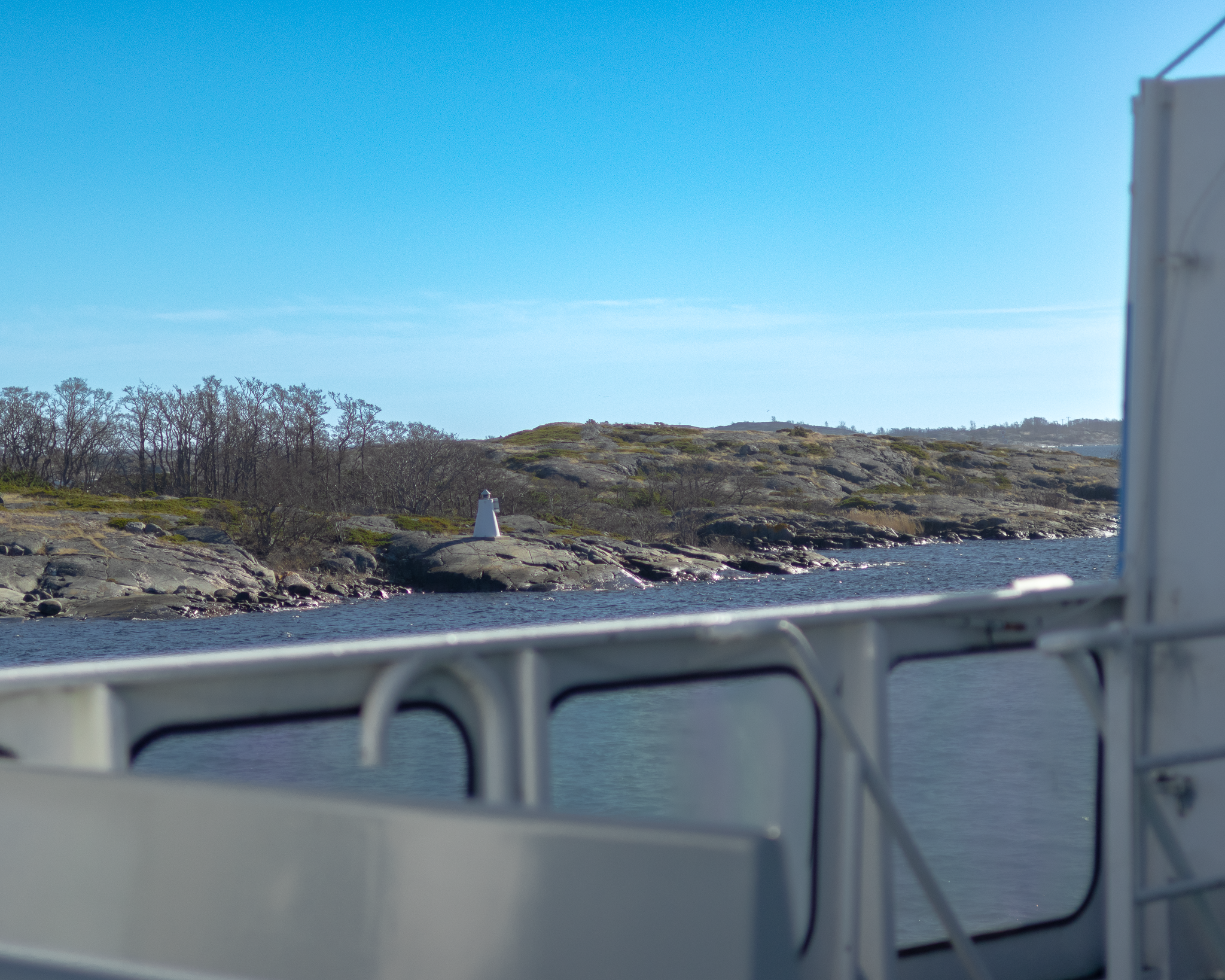 JulSenap Mustard 300 g